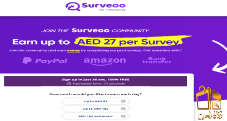 العمل في مجال الاستبيانات